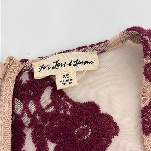 For Love & Lemons Temecula Embroidered Mesh V Neck Mini Dress $248 XS - Picture 3 of 10